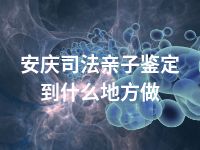 安庆司法亲子鉴定到什么地方做