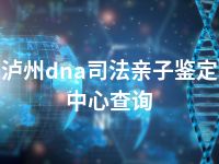 泸州dna司法亲子鉴定中心查询