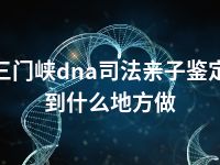 三门峡dna司法亲子鉴定到什么地方做