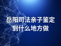 岳阳司法亲子鉴定到什么地方做