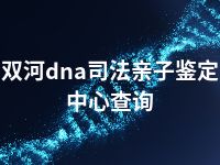 双河dna司法亲子鉴定中心查询