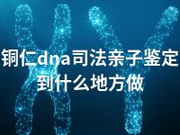 铜仁dna司法亲子鉴定到什么地方做