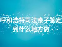 呼和浩特司法亲子鉴定到什么地方做