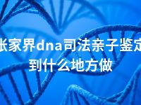 张家界dna司法亲子鉴定到什么地方做