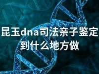 昆玉dna司法亲子鉴定到什么地方做