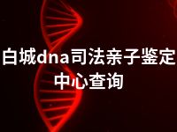 白城dna司法亲子鉴定中心查询