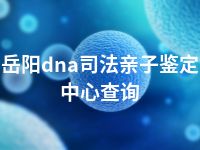 岳阳dna司法亲子鉴定中心查询