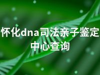 怀化dna司法亲子鉴定中心查询