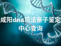 咸阳dna司法亲子鉴定中心查询