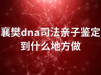 襄樊dna司法亲子鉴定到什么地方做