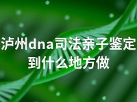 泸州dna司法亲子鉴定到什么地方做