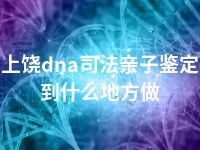 上饶dna司法亲子鉴定到什么地方做