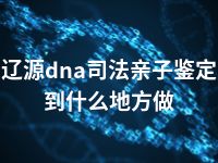 辽源dna司法亲子鉴定到什么地方做