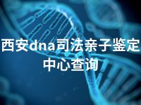 西安dna司法亲子鉴定中心查询