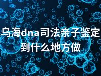 乌海dna司法亲子鉴定到什么地方做