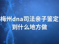 梅州dna司法亲子鉴定到什么地方做