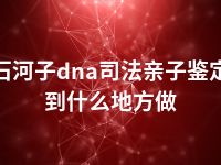 石河子dna司法亲子鉴定到什么地方做