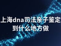 上海dna司法亲子鉴定到什么地方做