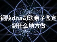 铜陵dna司法亲子鉴定到什么地方做