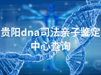 贵阳dna司法亲子鉴定中心查询