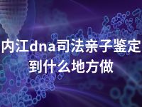 内江dna司法亲子鉴定到什么地方做