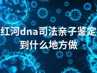 红河dna司法亲子鉴定到什么地方做