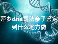 萍乡dna司法亲子鉴定到什么地方做