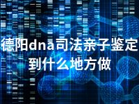 德阳dna司法亲子鉴定到什么地方做