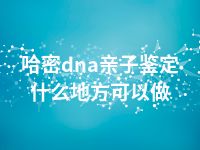 哈密dna亲子鉴定什么地方可以做