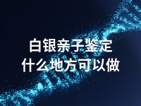 白银亲子鉴定什么地方可以做