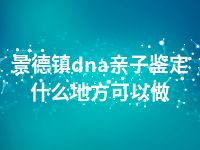 景德镇dna亲子鉴定什么地方可以做