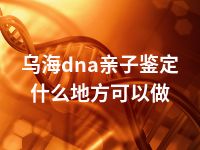 乌海dna亲子鉴定什么地方可以做