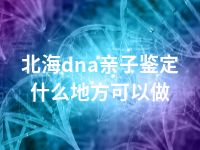 北海dna亲子鉴定什么地方可以做