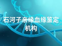 石河子亲缘血缘鉴定机构