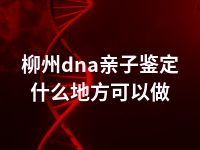 柳州dna亲子鉴定什么地方可以做