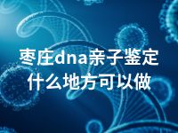 枣庄dna亲子鉴定什么地方可以做