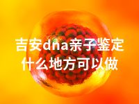 吉安dna亲子鉴定什么地方可以做