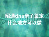 昭通dna亲子鉴定什么地方可以做