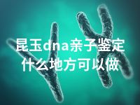 昆玉dna亲子鉴定什么地方可以做