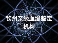 钦州亲缘血缘鉴定机构