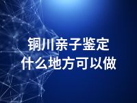 铜川亲子鉴定什么地方可以做