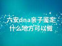 六安dna亲子鉴定什么地方可以做