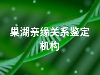 巢湖亲缘关系鉴定机构