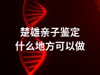 楚雄亲子鉴定什么地方可以做