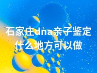 石家庄dna亲子鉴定什么地方可以做