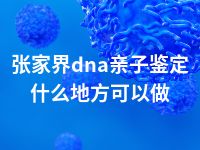 张家界dna亲子鉴定什么地方可以做