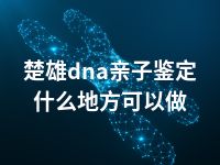 楚雄dna亲子鉴定什么地方可以做