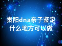 贵阳dna亲子鉴定什么地方可以做