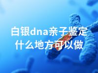 白银dna亲子鉴定什么地方可以做