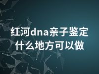 红河dna亲子鉴定什么地方可以做